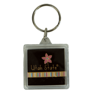 Utah State Flower Stripe Colorful Key Tag